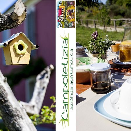 Agriturismo Campoletizia Miglianico Eksteriør bilde