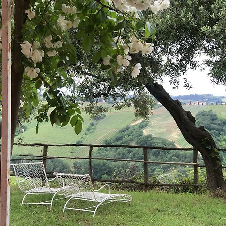 Agriturismo Campoletizia Miglianico Eksteriør bilde