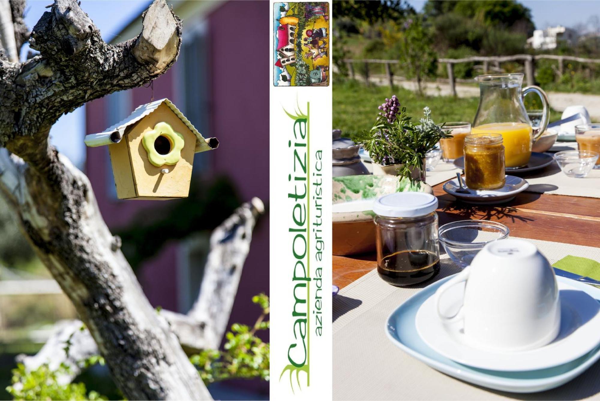 Agriturismo Campoletizia Miglianico Eksteriør bilde