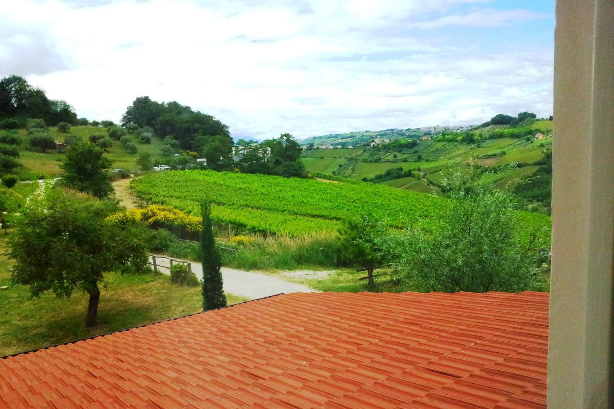 Agriturismo Campoletizia Miglianico Rom bilde