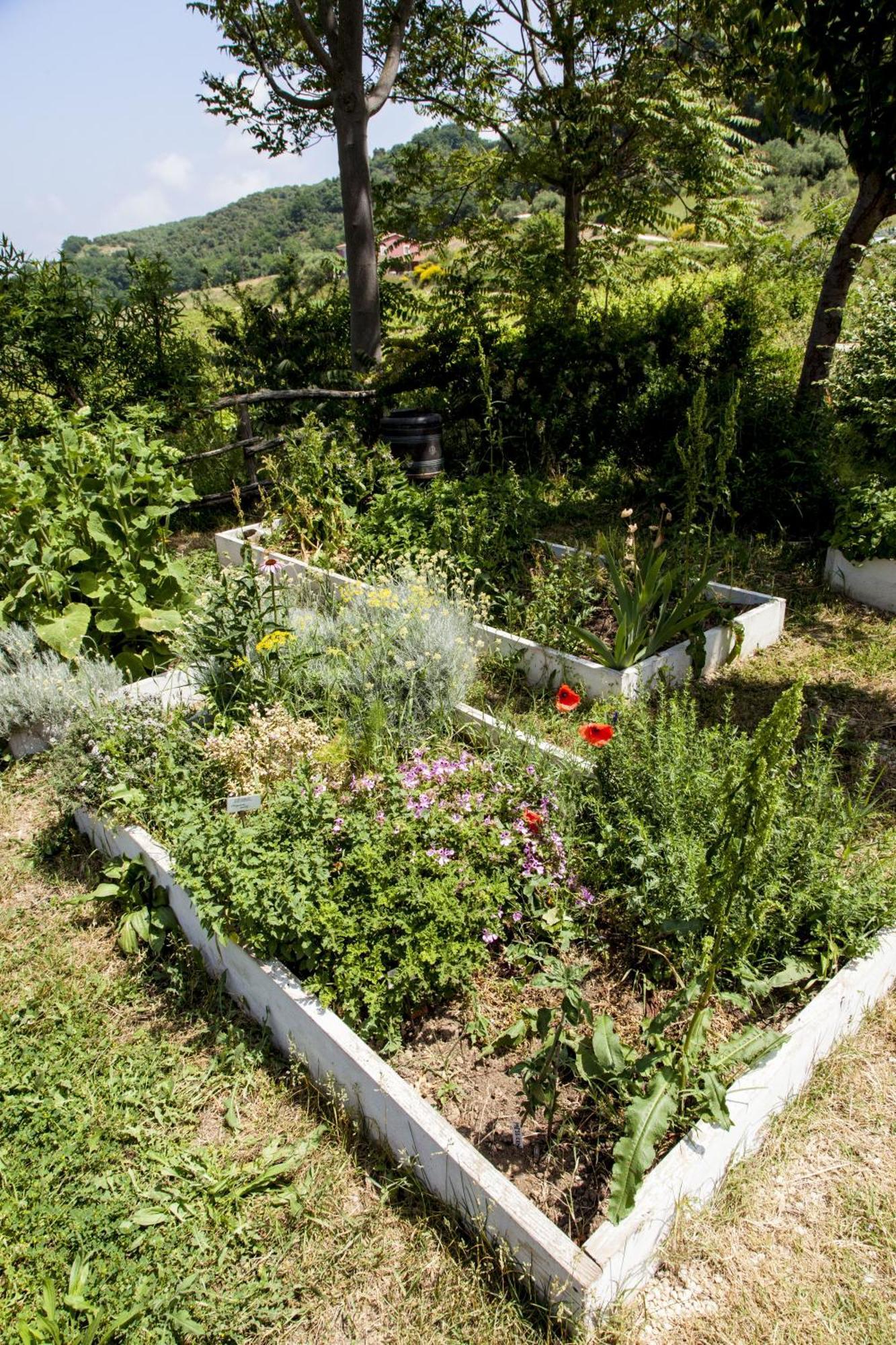 Agriturismo Campoletizia Miglianico Eksteriør bilde