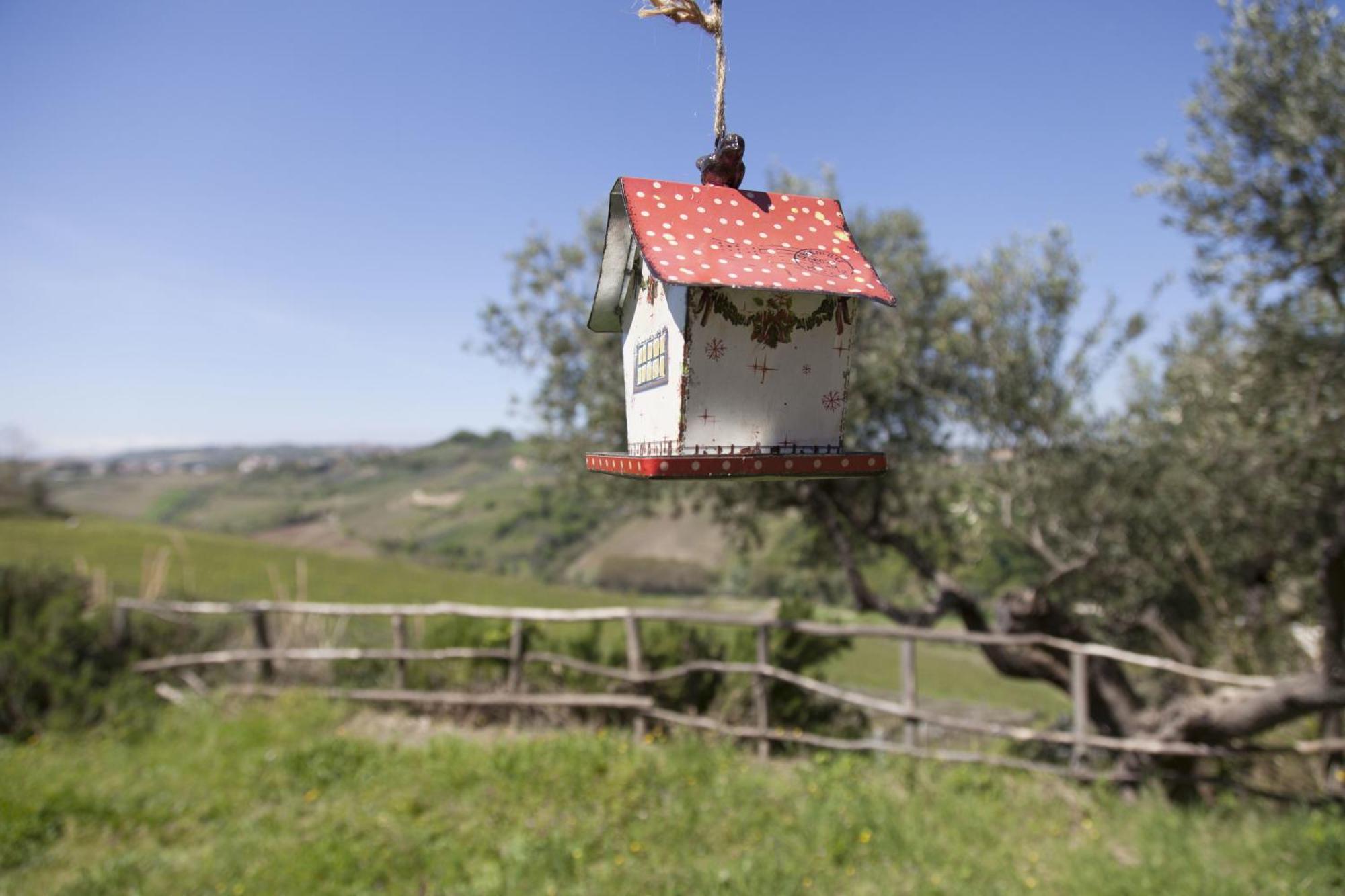 Agriturismo Campoletizia Miglianico Eksteriør bilde