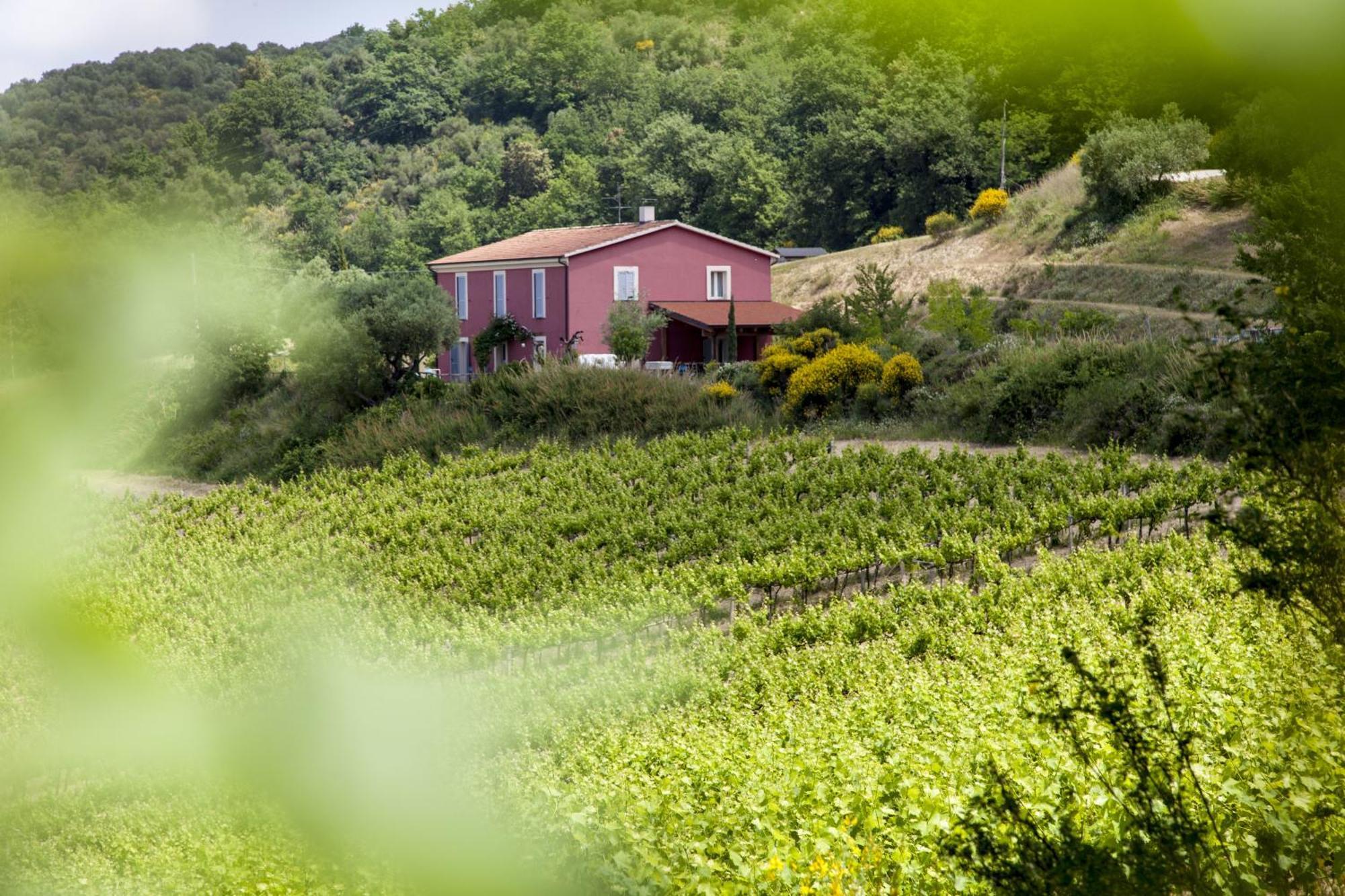 Agriturismo Campoletizia Miglianico Eksteriør bilde