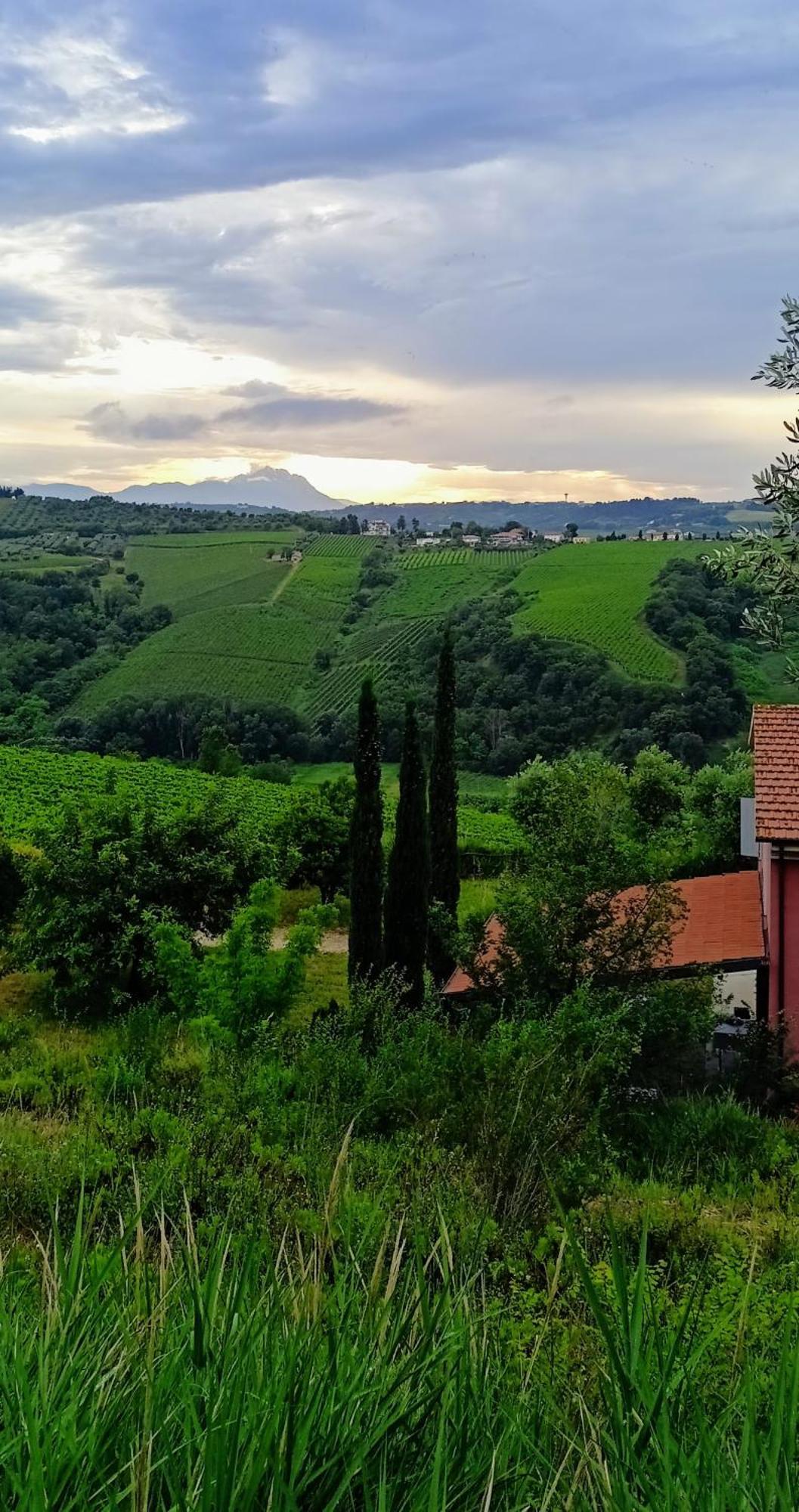 Agriturismo Campoletizia Miglianico Eksteriør bilde