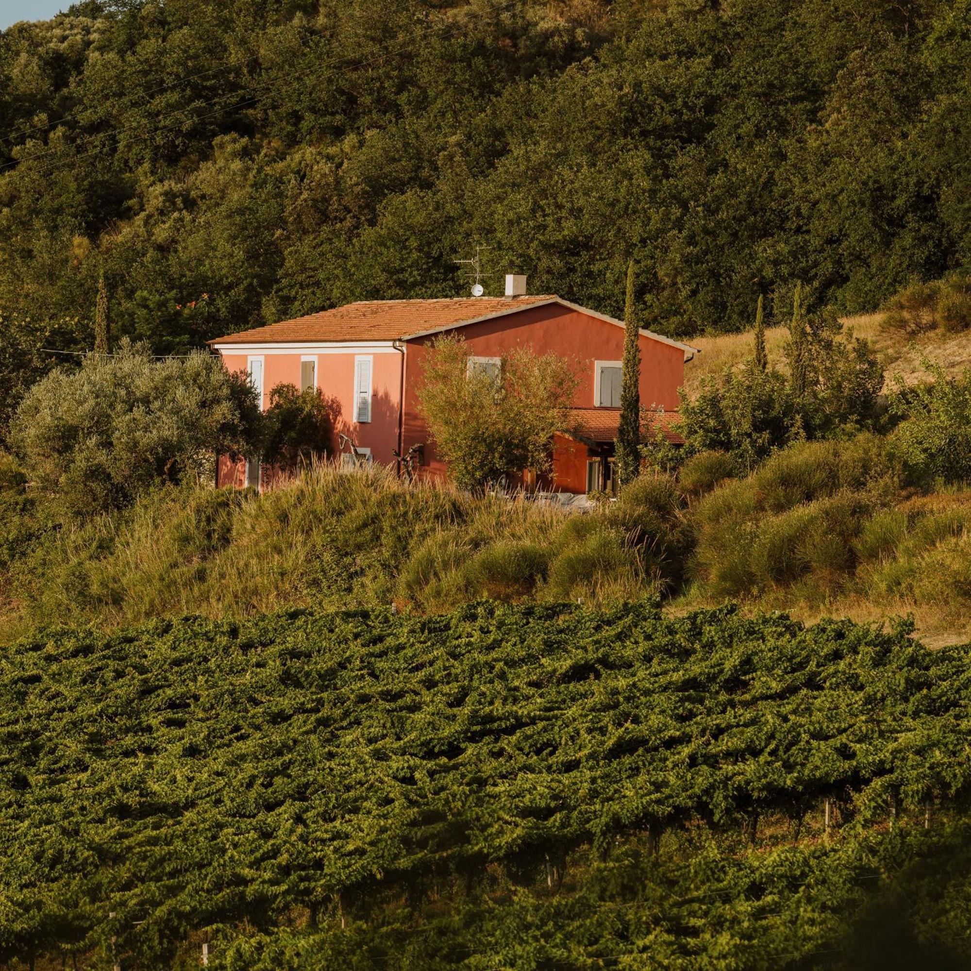 Agriturismo Campoletizia Miglianico Eksteriør bilde